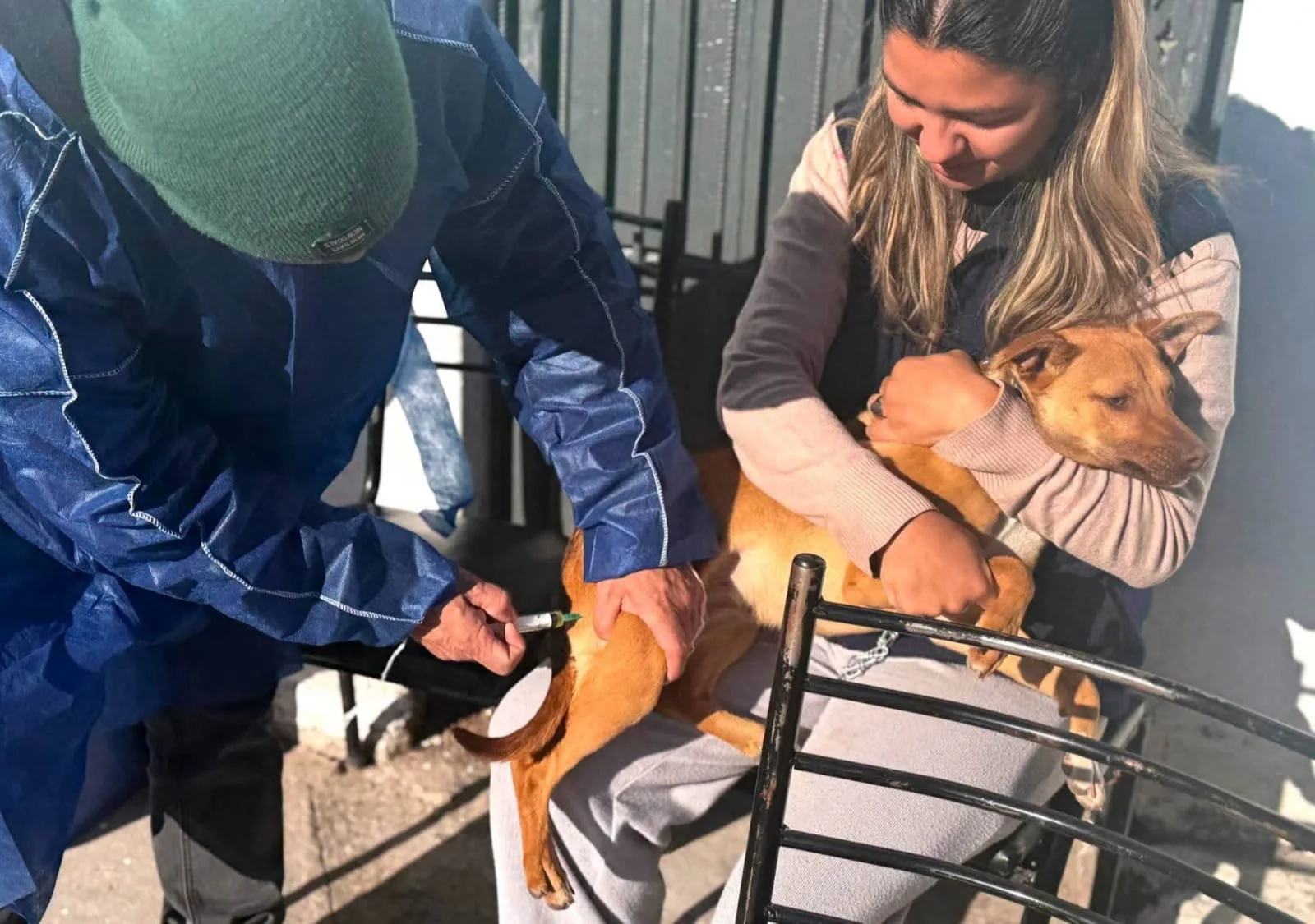 WhatsApp Image 2026-02-18 at 13.13.45